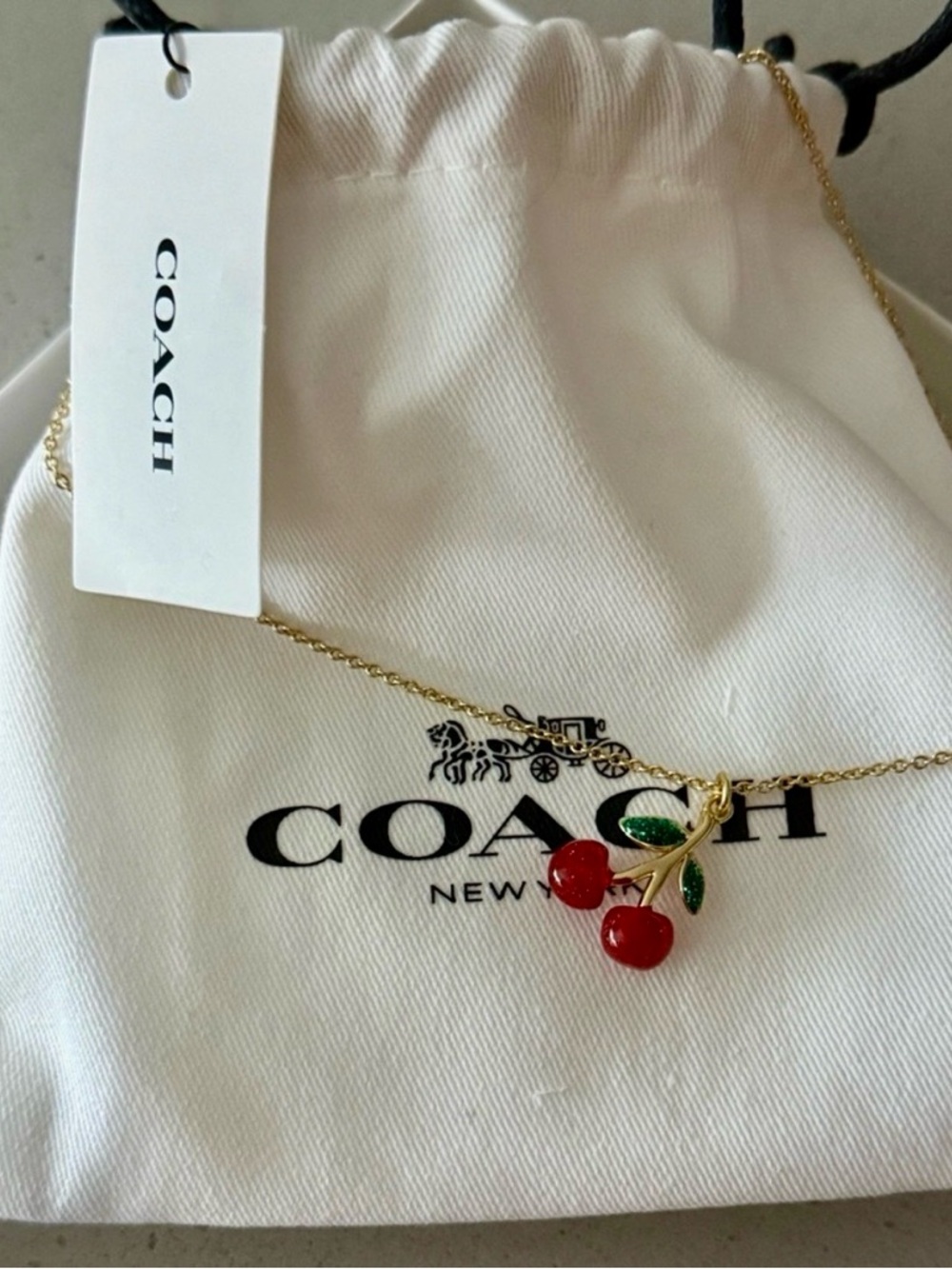 Coach cherry pendant necklace NWT JEWELRY POUCH - Picture 8 of 12